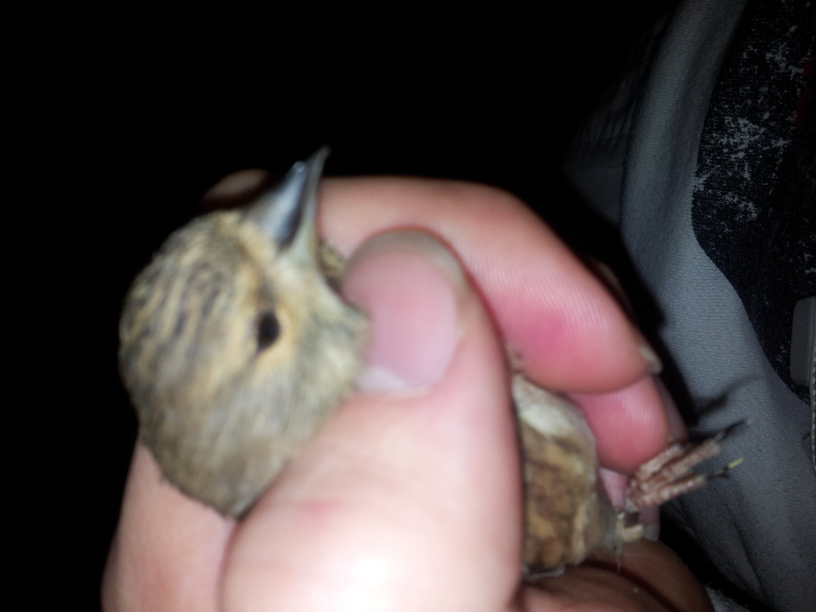 20130330_231214.jpg