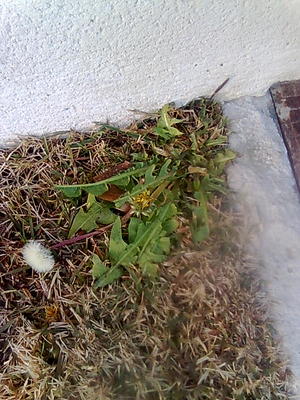 Imagen0560.jpg