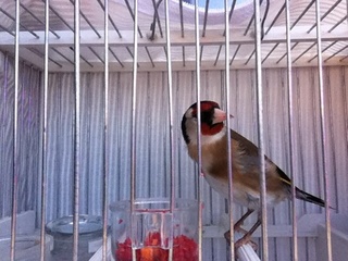 Estas fotos son de hoy