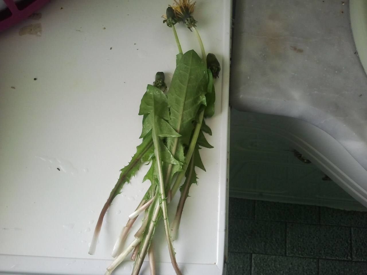 2013-04-02 13.19.57.jpg