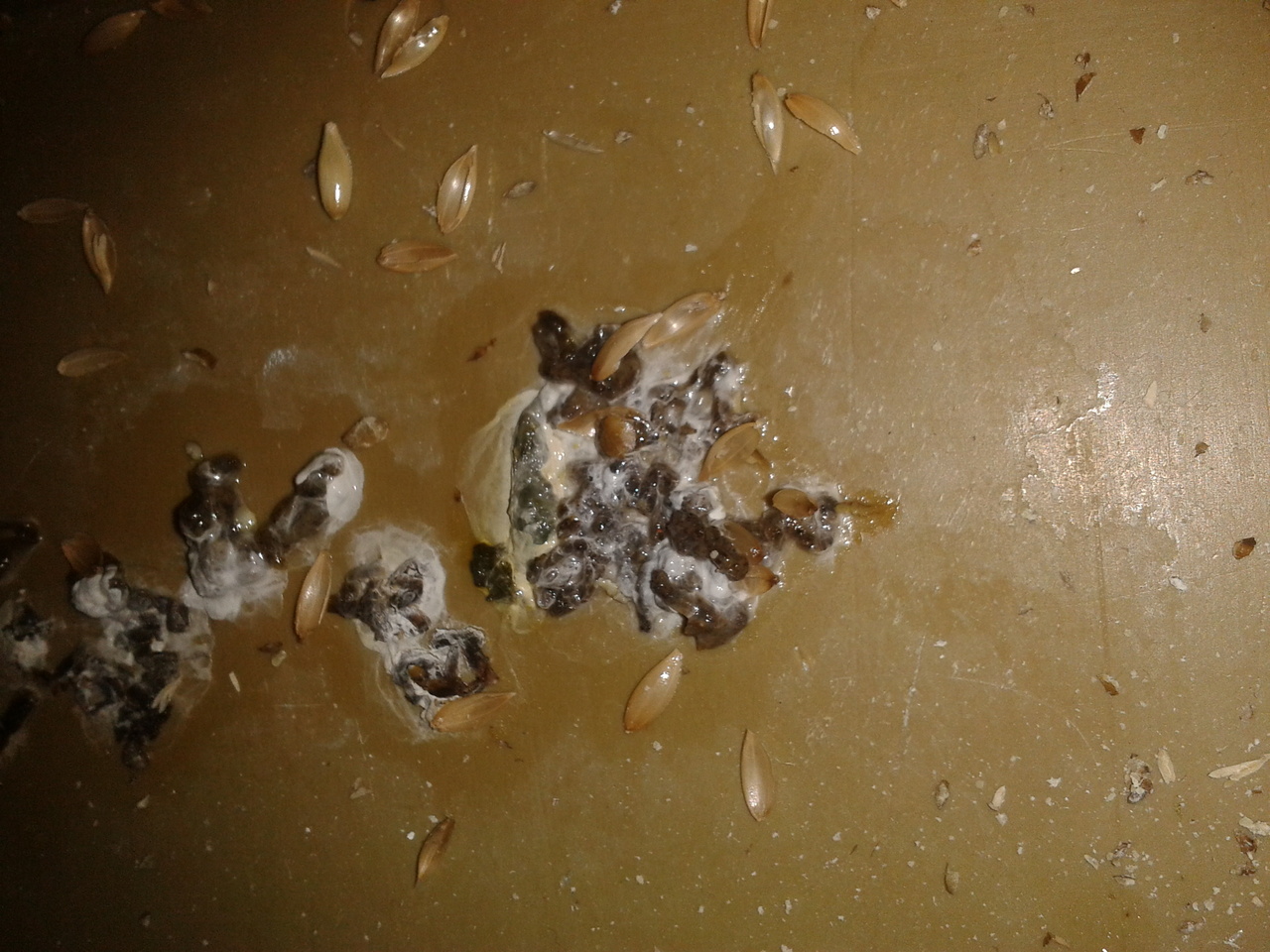 2013-04-02 21.48.48.jpg