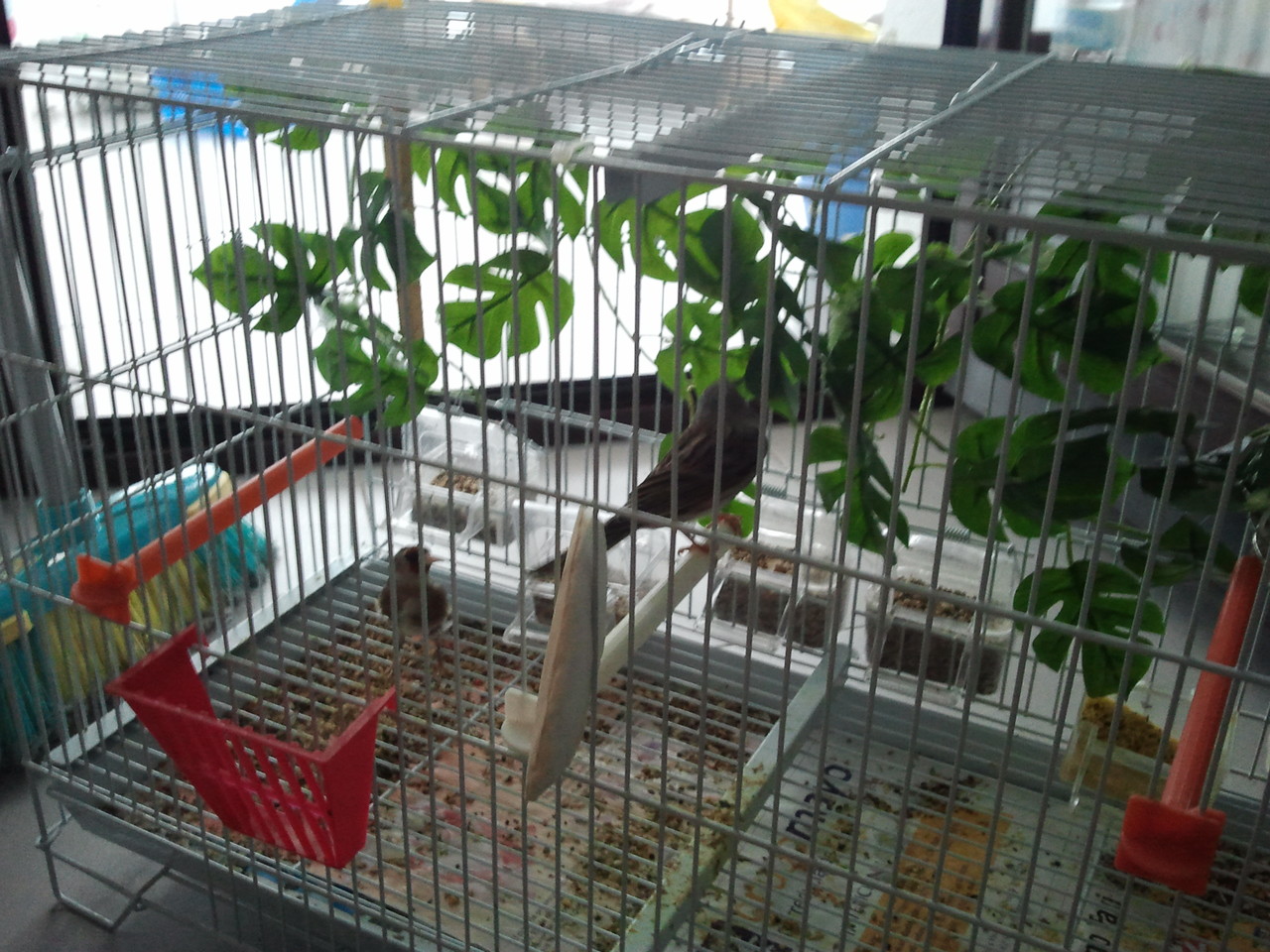 2013-04-01 18.41.34.jpg