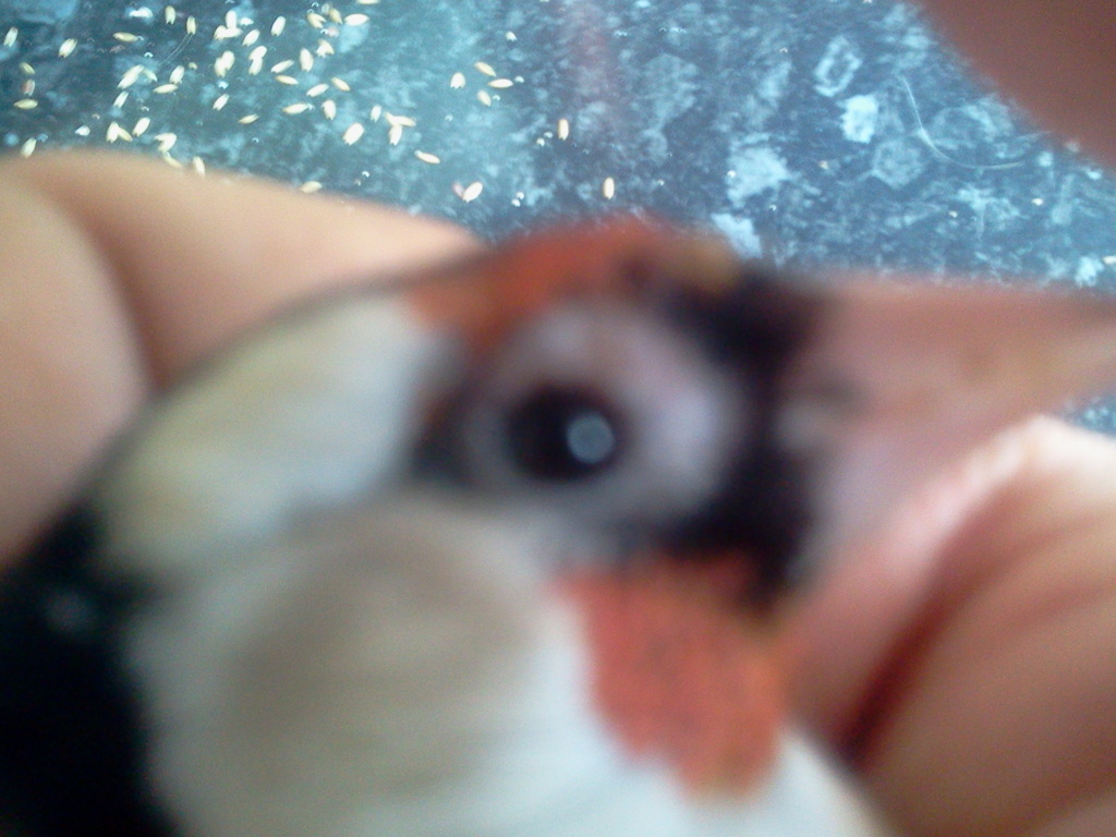 2013-04-03 13.42.31.jpg