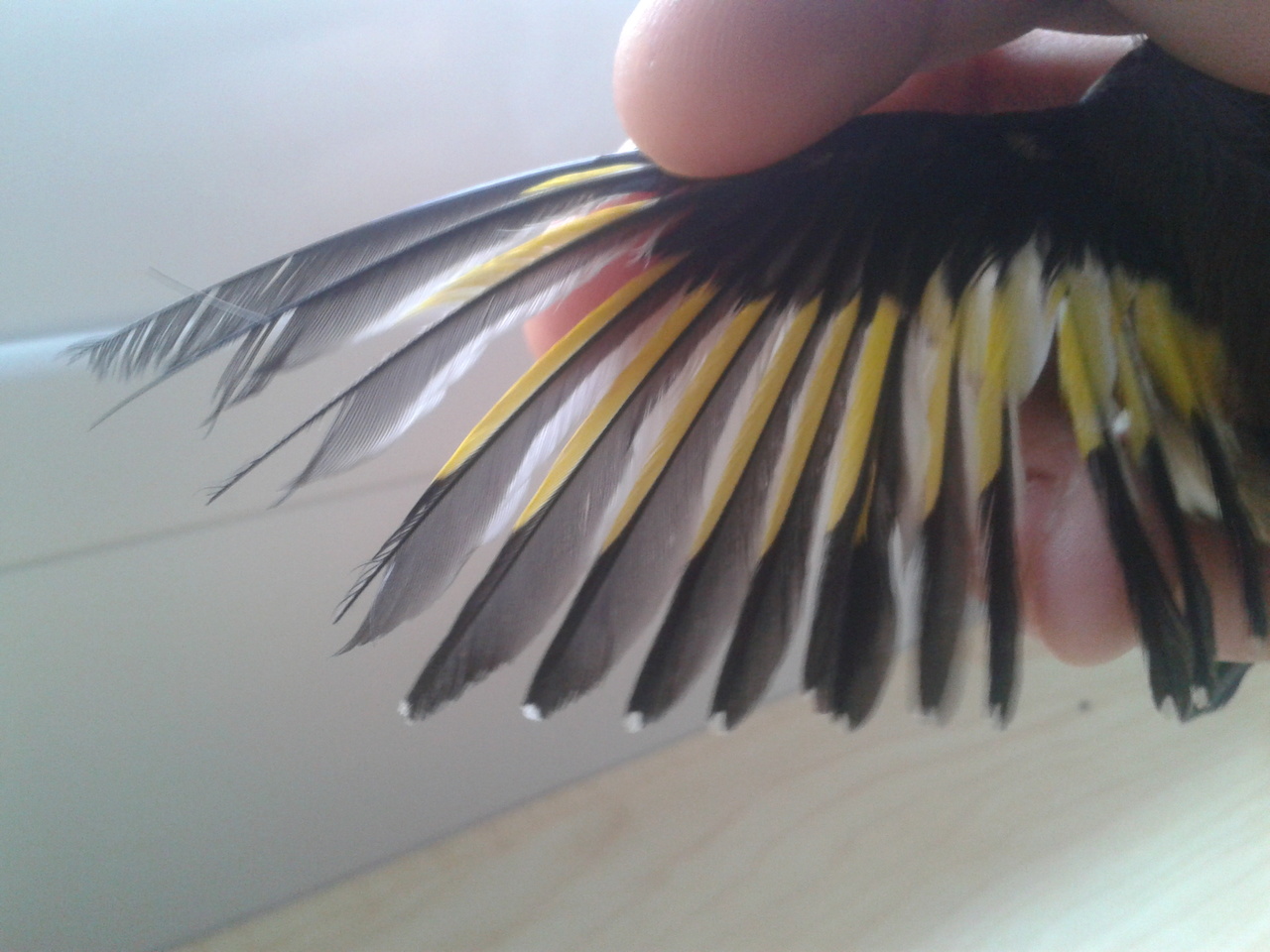 2013-04-05 15.53.07.jpg
