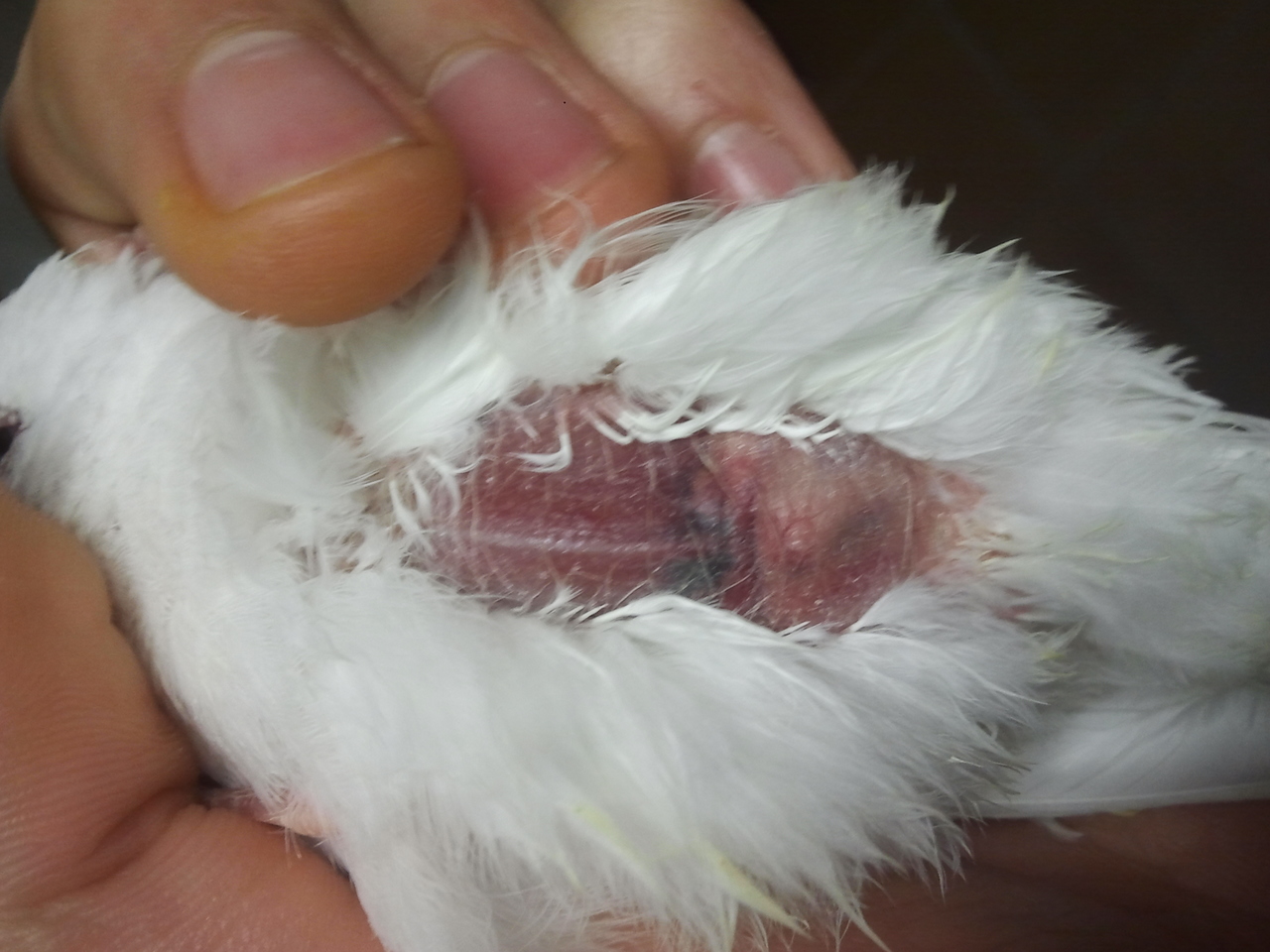 2013-04-07 15.37.04.jpg