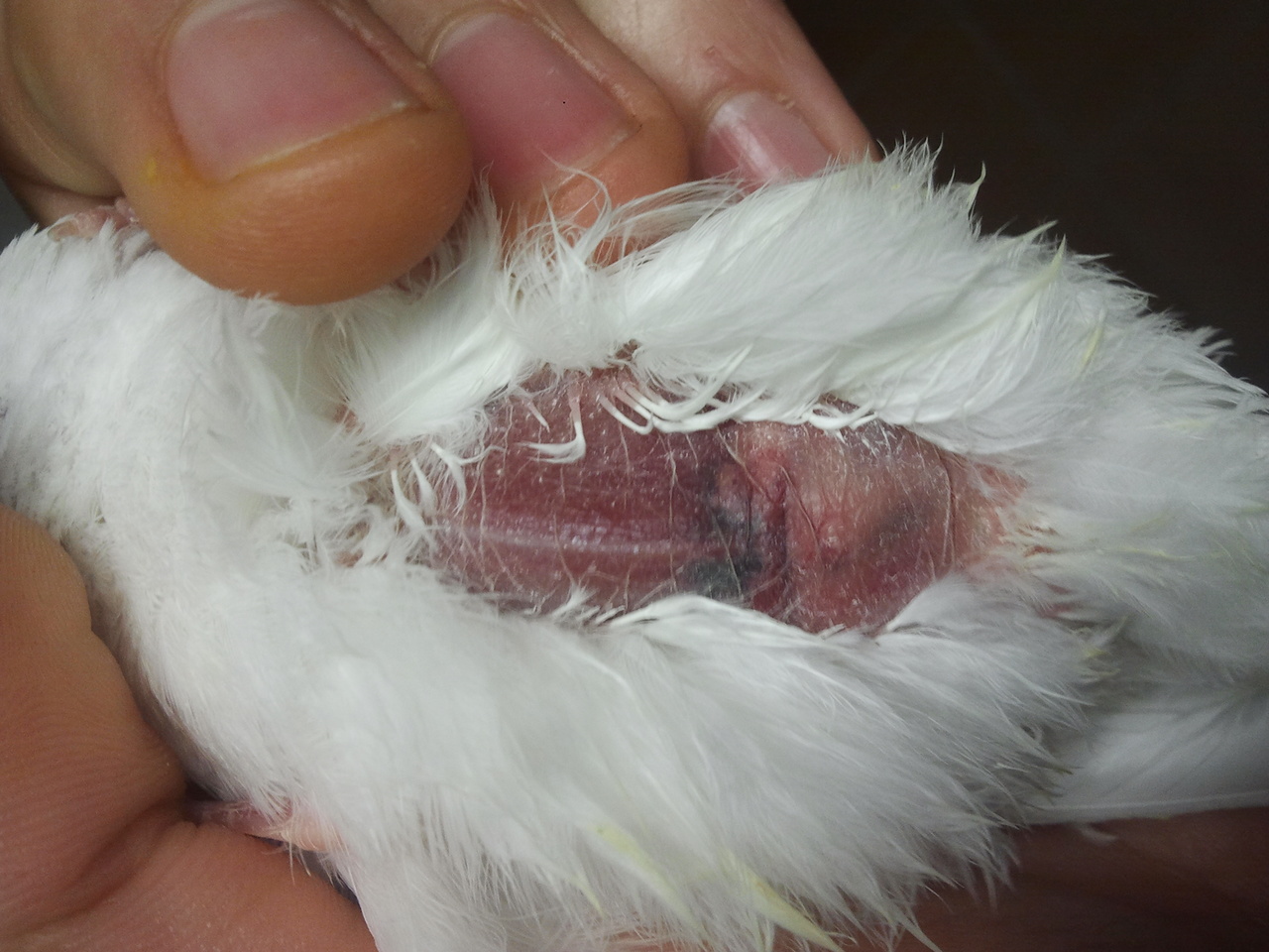 2013-04-07 15.37.07.jpg