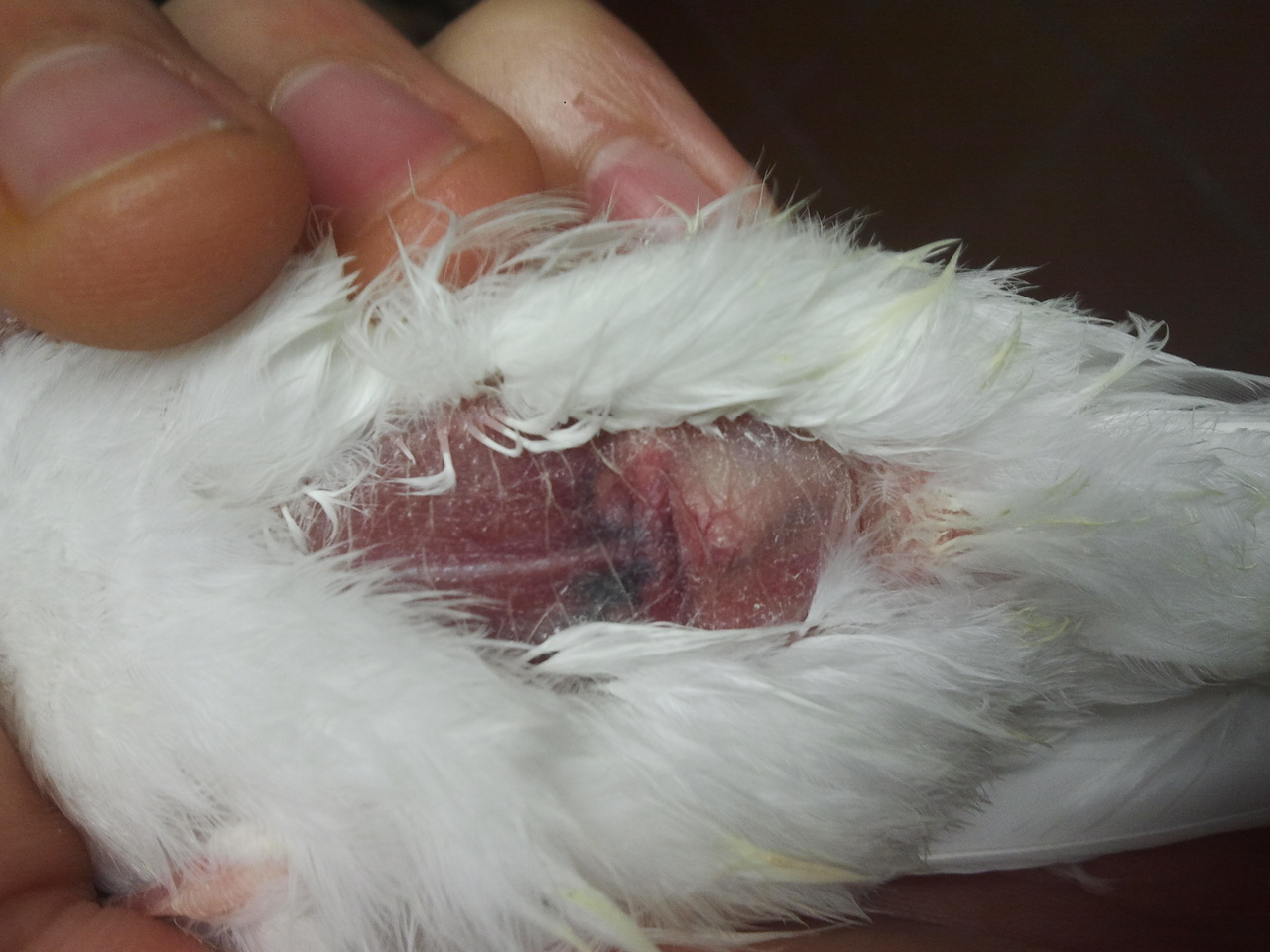 2013-04-07 15.36.52.jpg