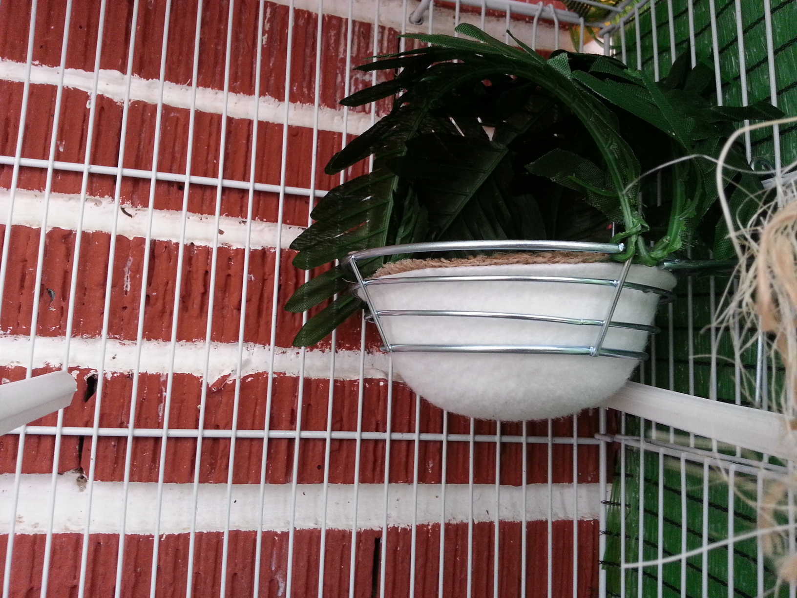 20130407_172136.jpg