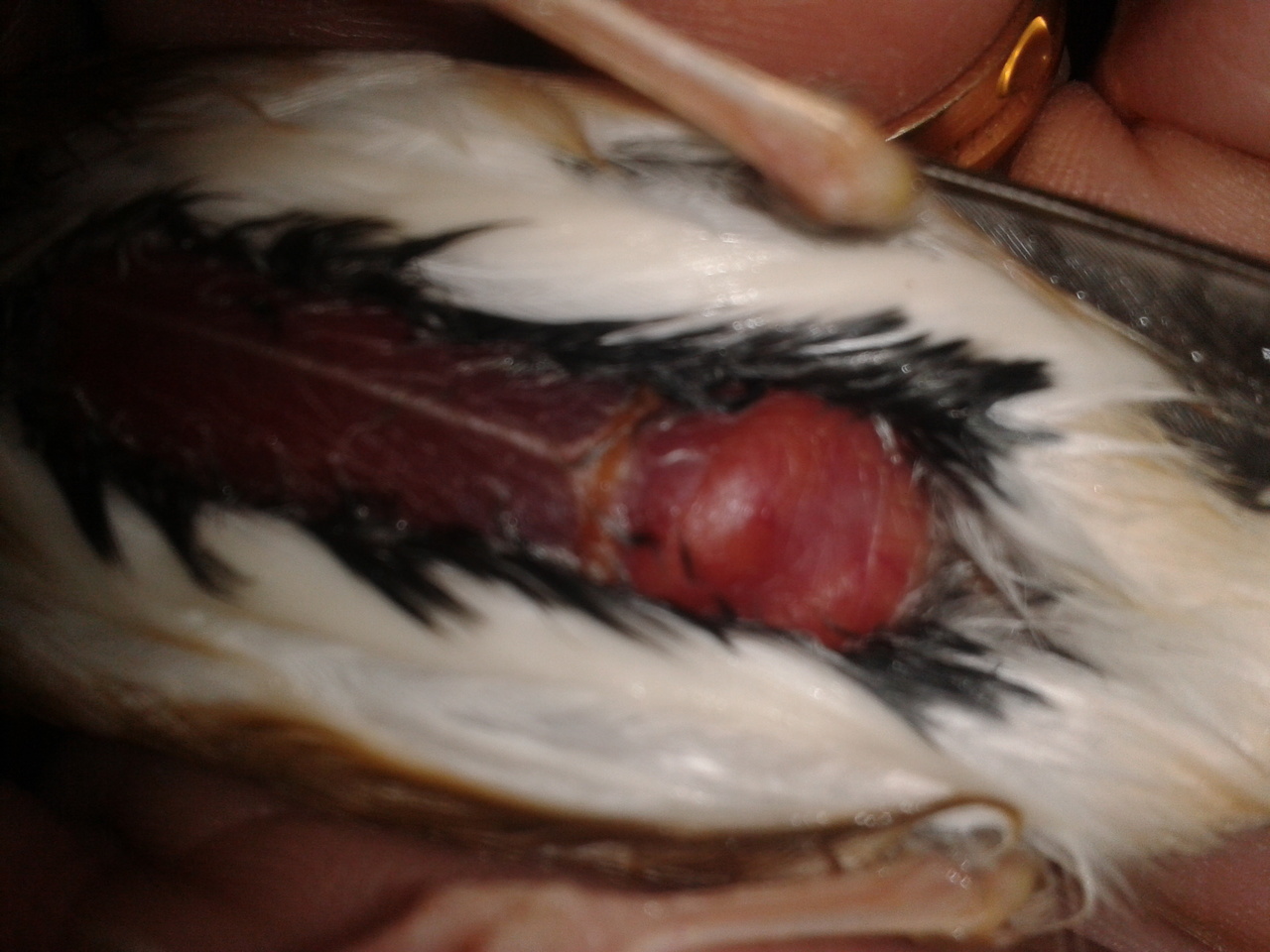 2013-04-07 19.48.24.jpg