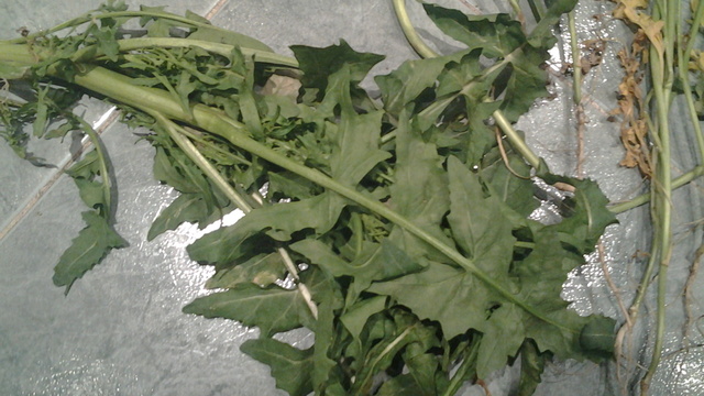 20130407_222331.jpg