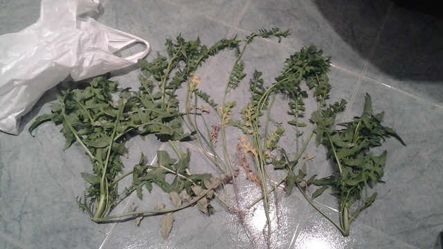 20130407_222301.jpg
