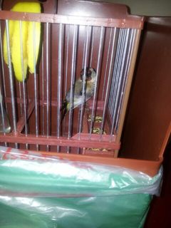 IMG-20130408-WA0001.jpg