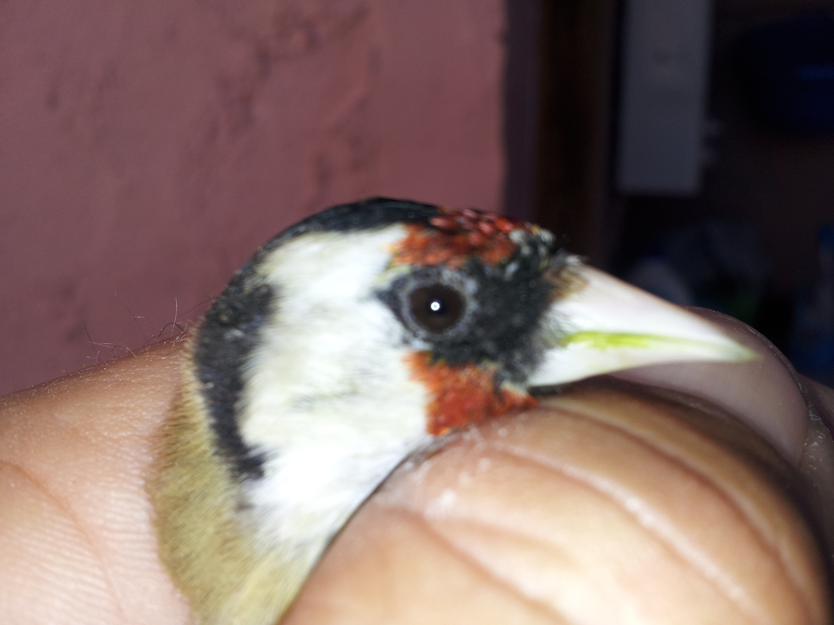 20130409_111343.jpg