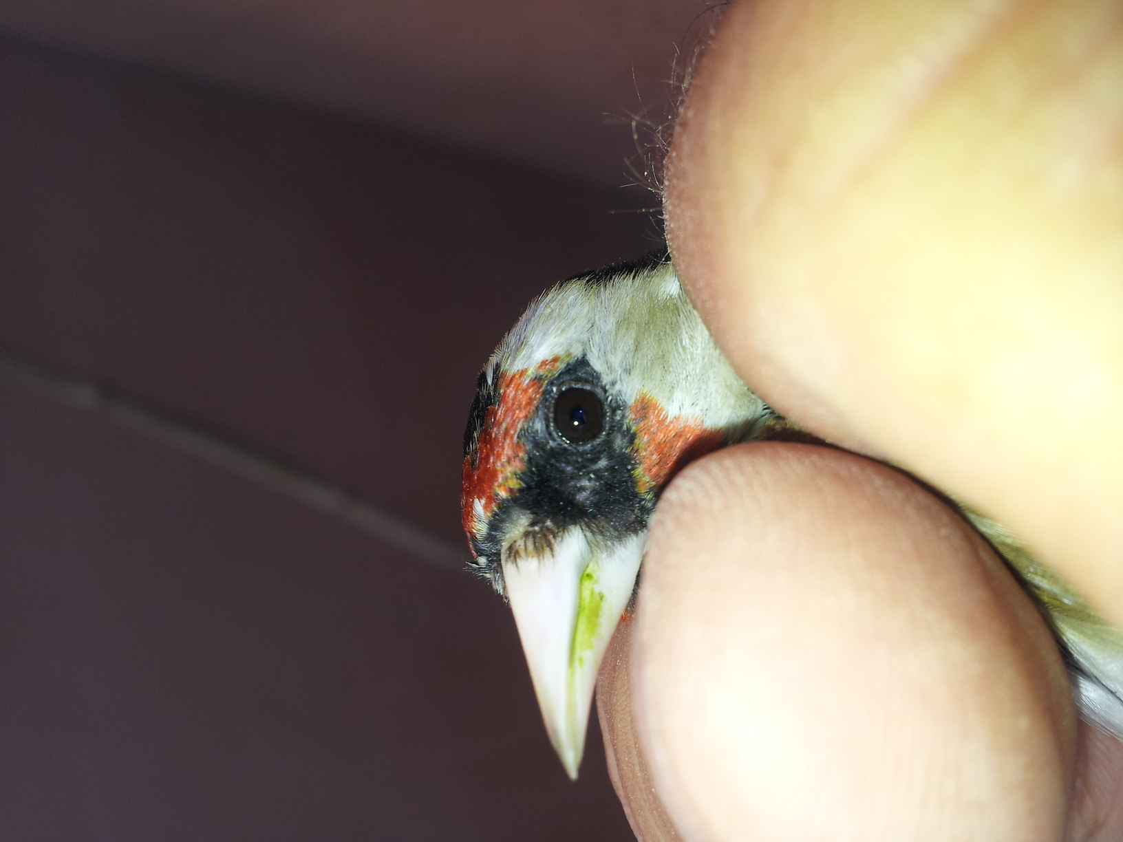 20130409_111458.jpg