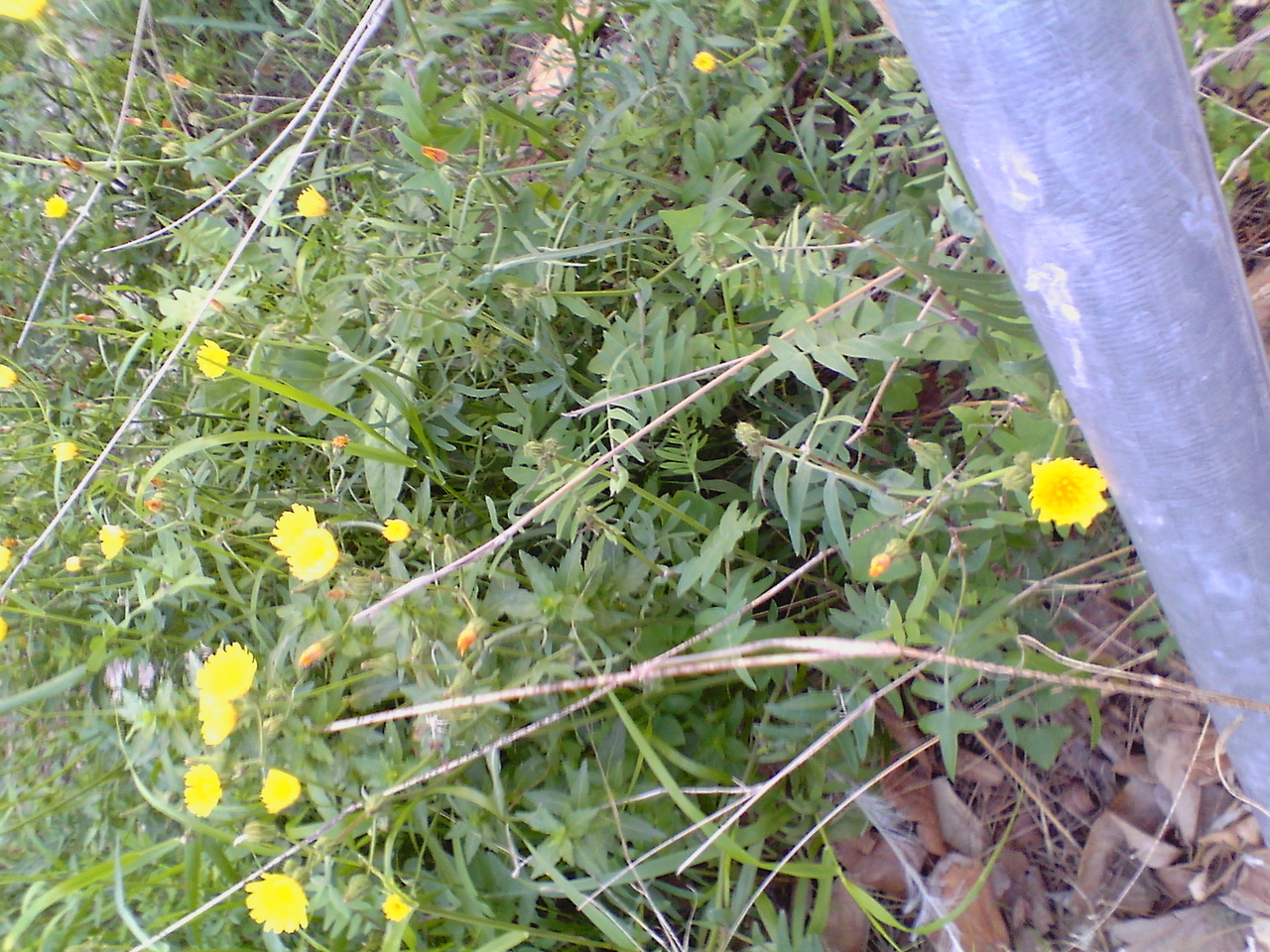 IMG_20130409_084703.jpg