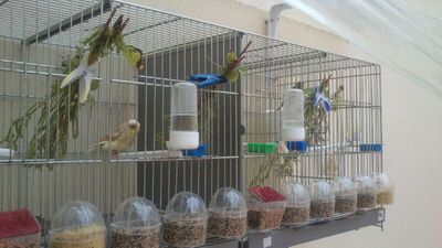 IMG-20130409-WA0001.jpg