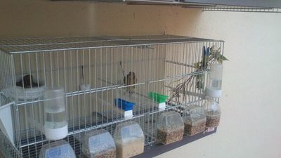 IMG-20130409-WA0002.jpg