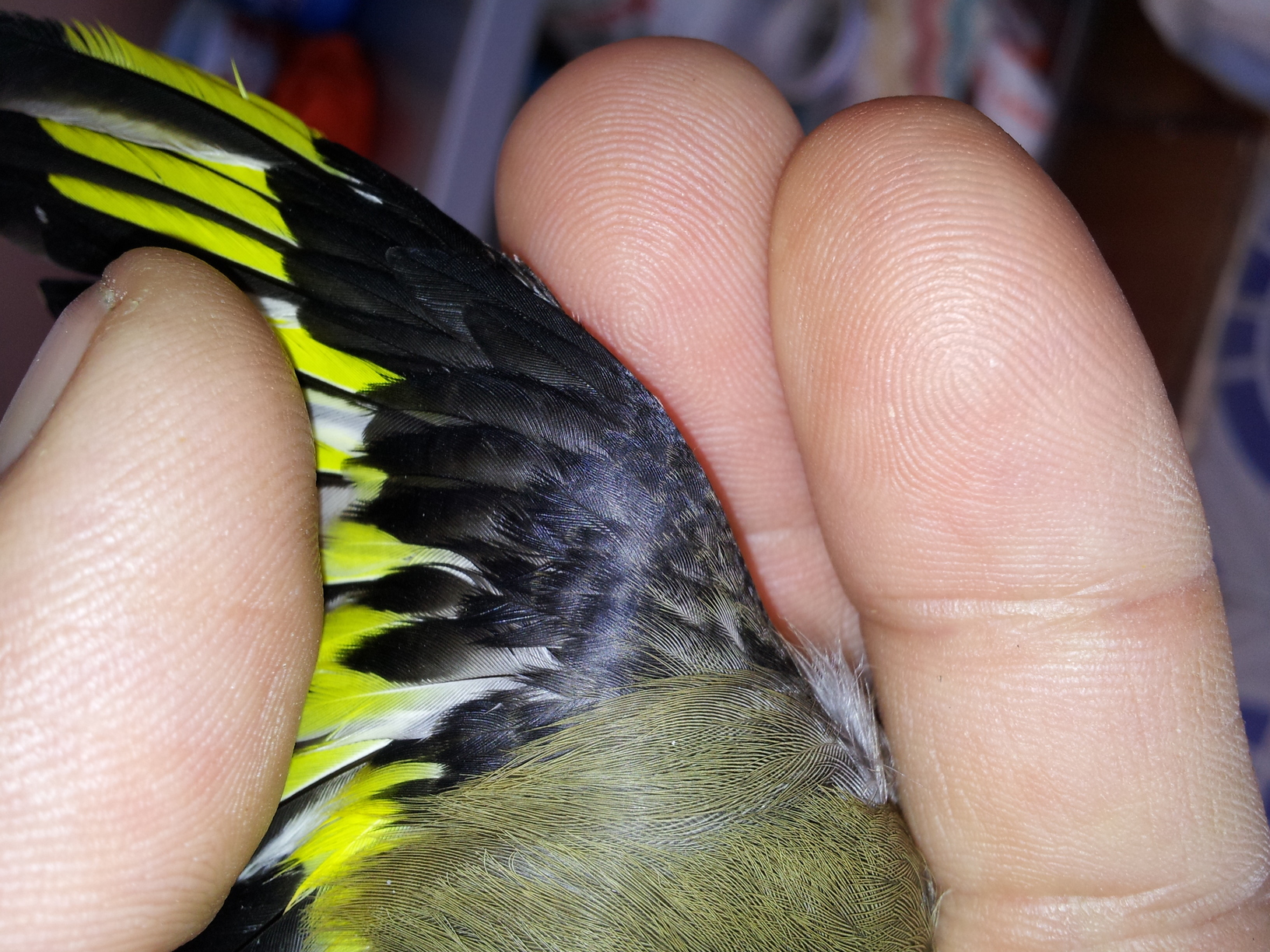 20130410_150314.jpg