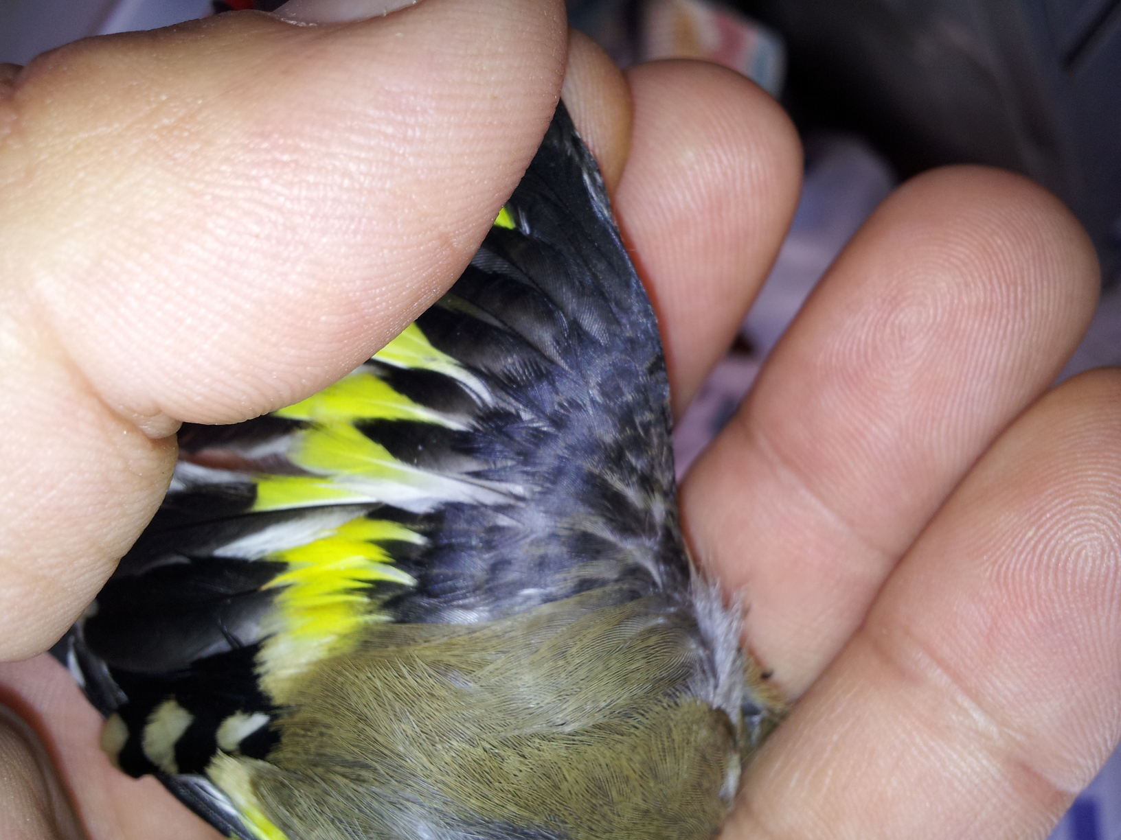 20130410_150350.jpg