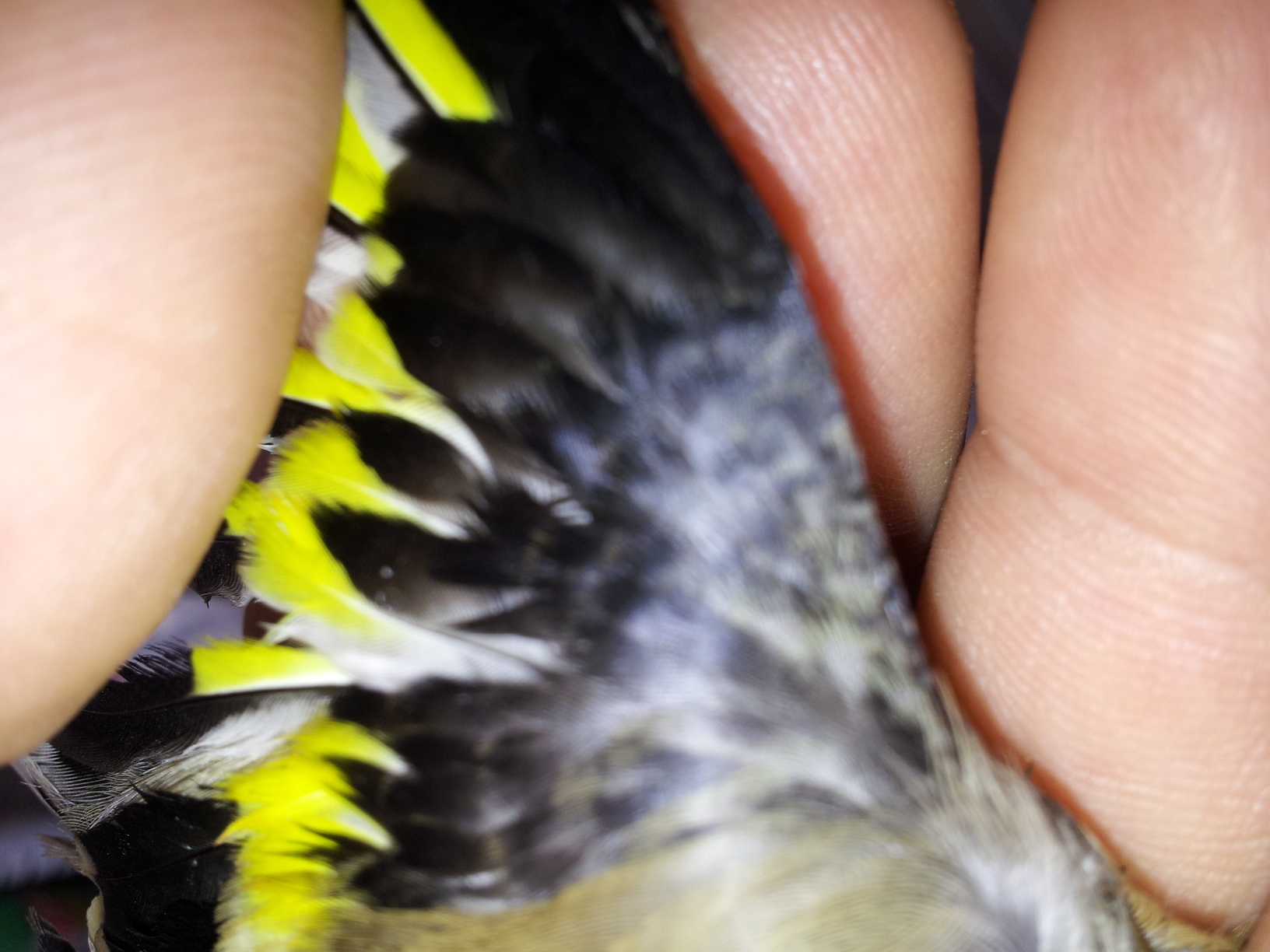 20130410_150421.jpg