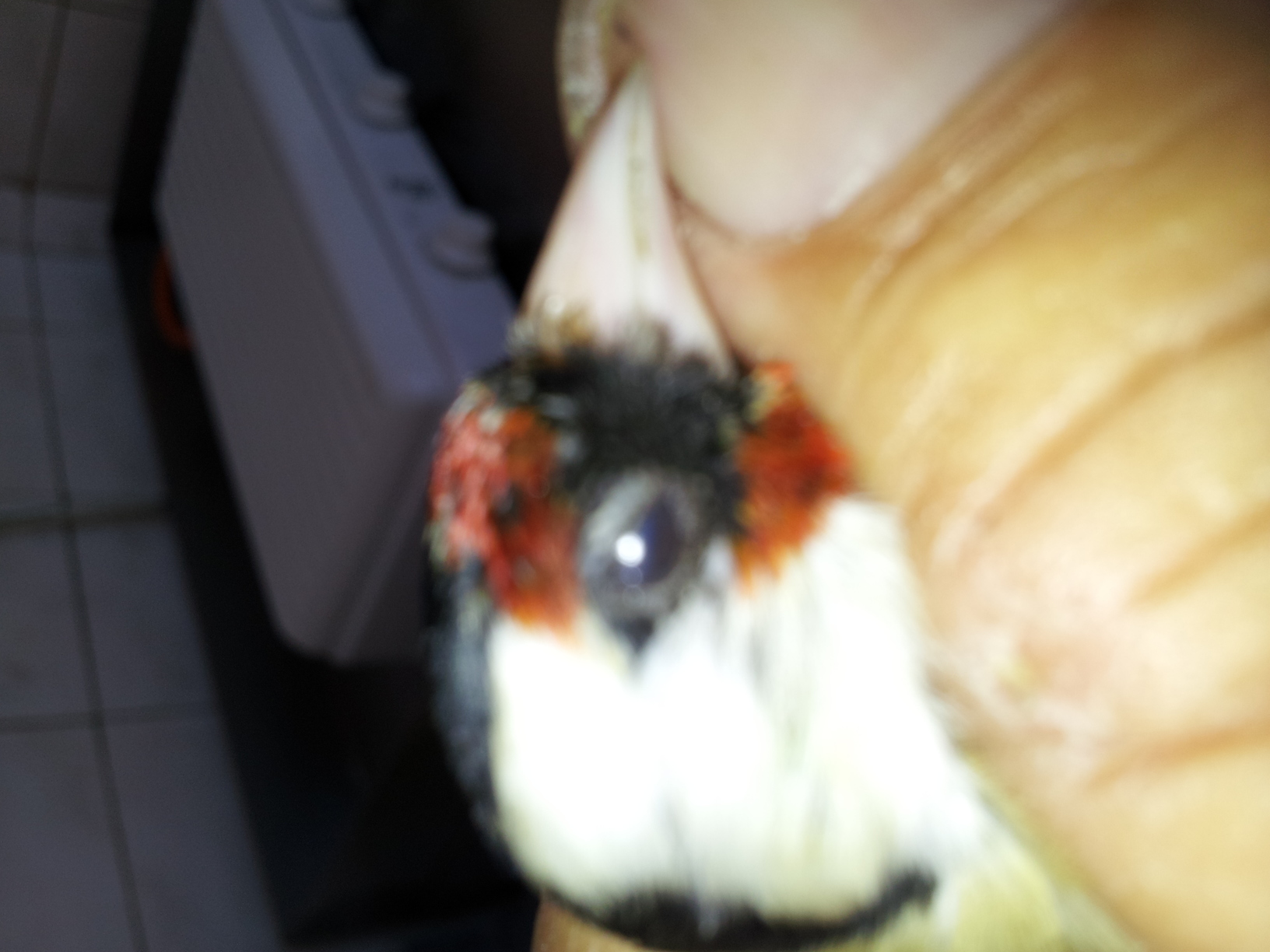 20130410_150644.jpg
