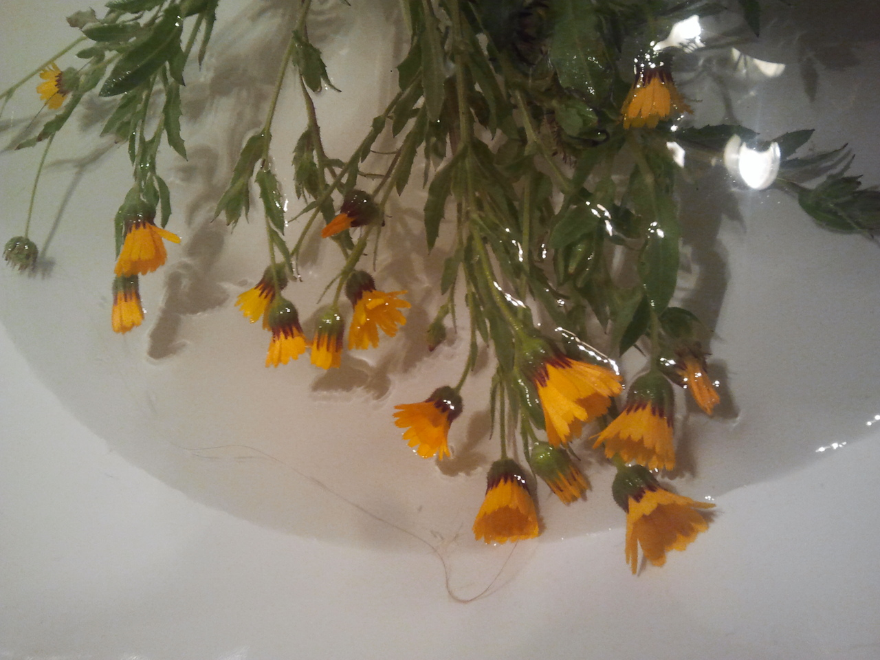 2013-04-11 15.50.35.jpg