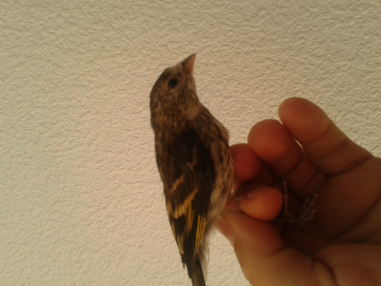 2013-04-13 11.56.29.jpg