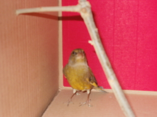 P1060039.JPG