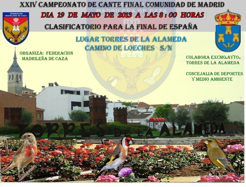 CARTEL FINAL AUTONOMICA 2013  2[1].jpg
