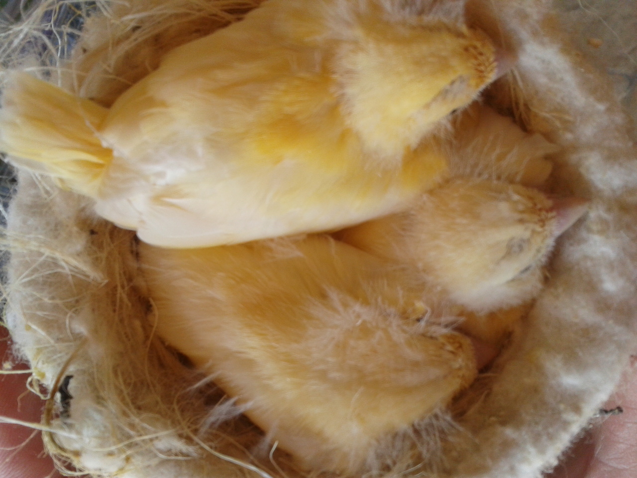 2013-04-16 15.59.58.jpg