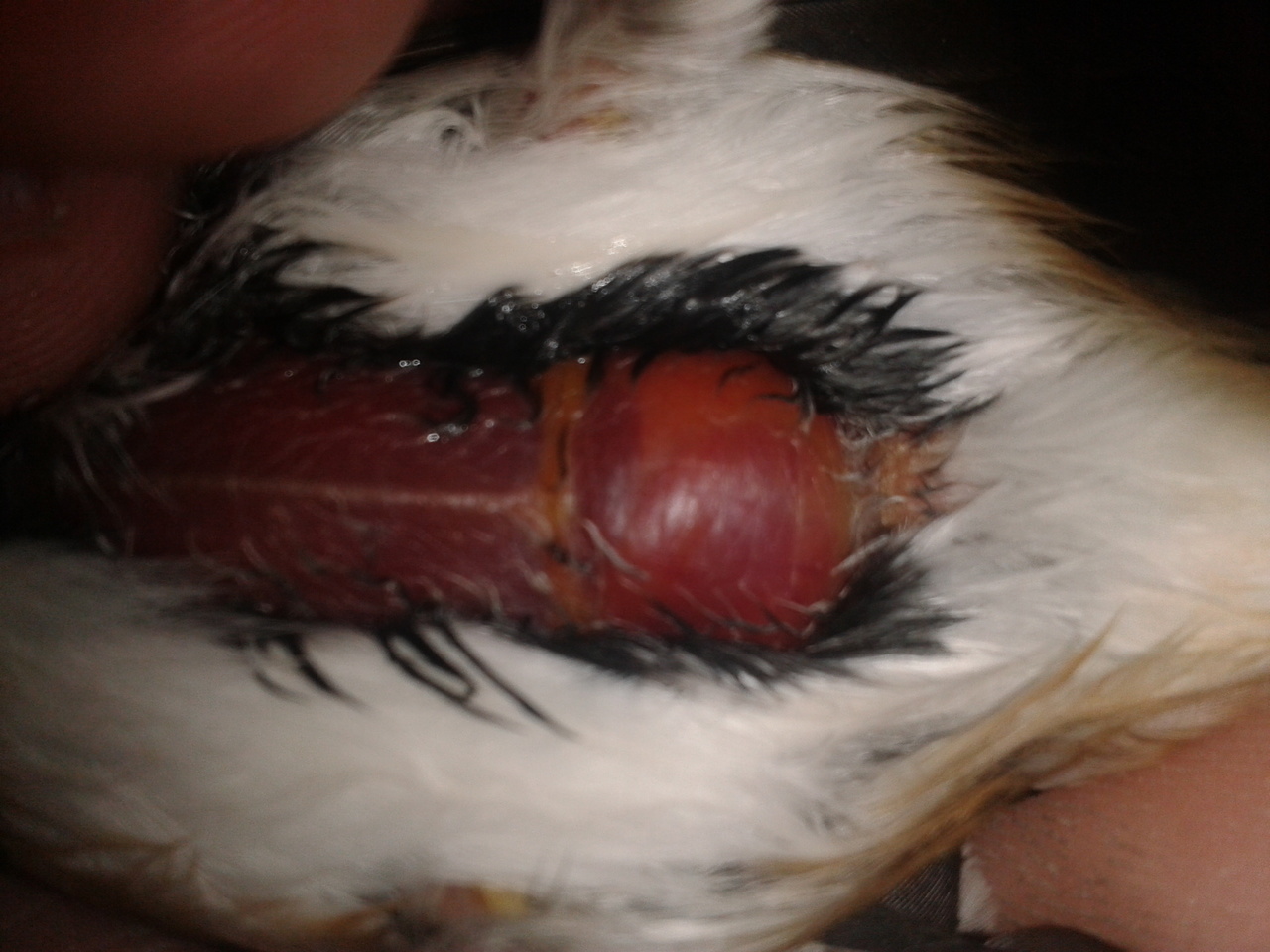 2013-04-16 21.15.57.jpg