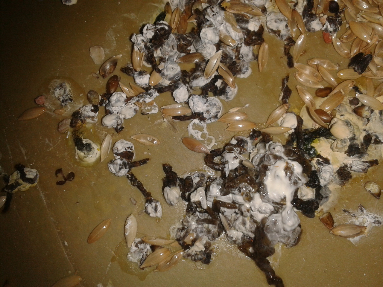 2013-04-16 21.16.27.jpg