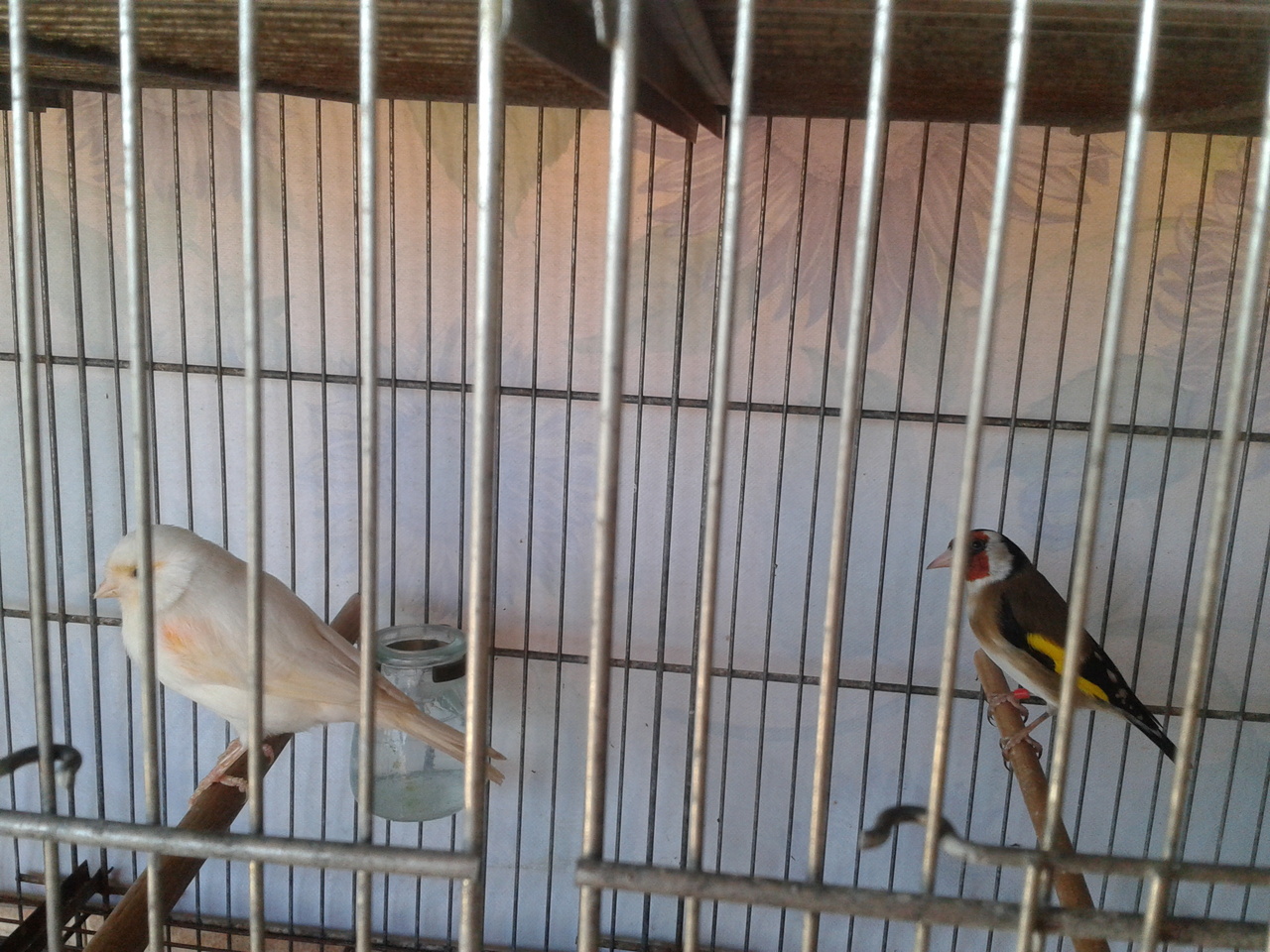 2013-04-16 15.58.46.jpg