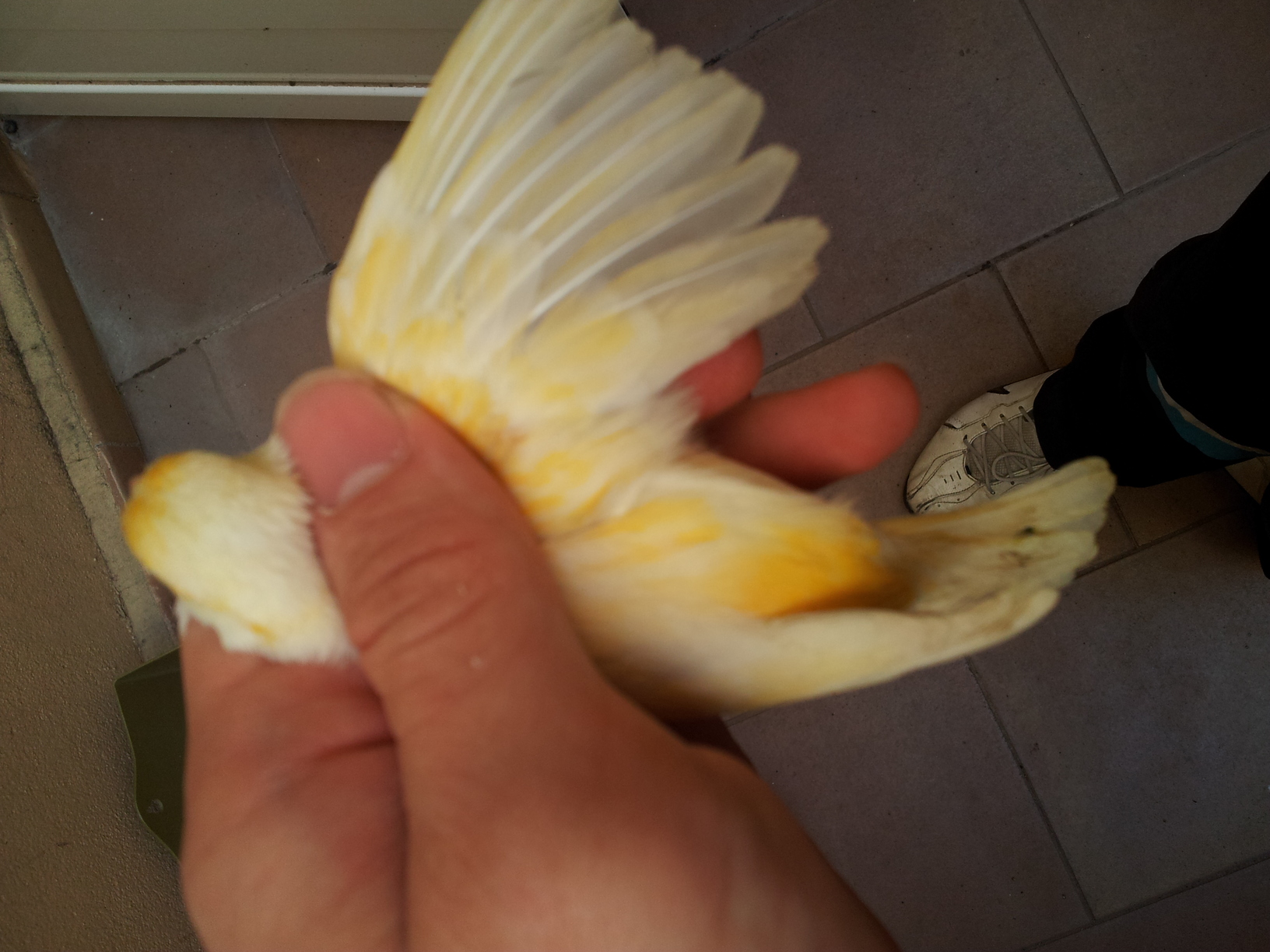 20130417_142727.jpg