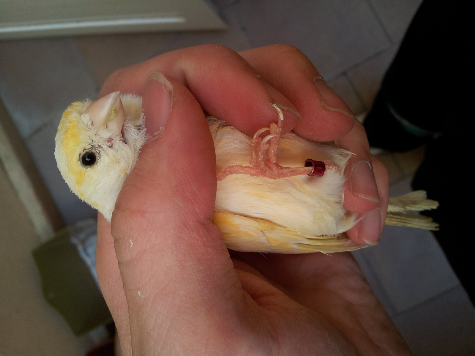 20130417_142713.jpg