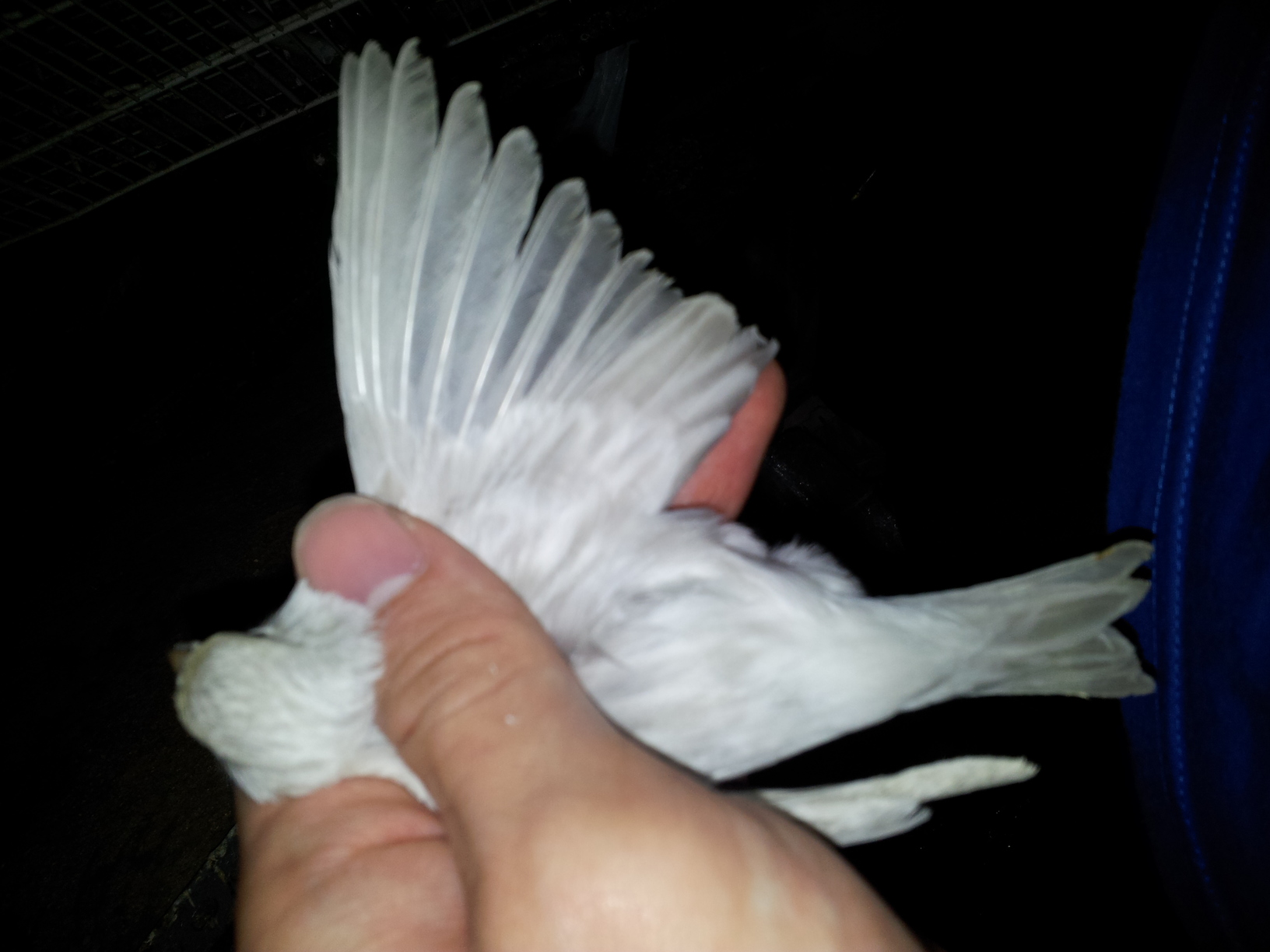 20130417_142006.jpg
