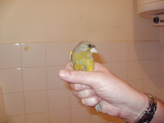 P1200016.JPG