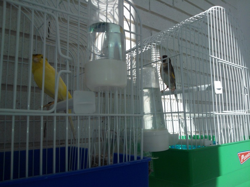 WP_000166.jpg