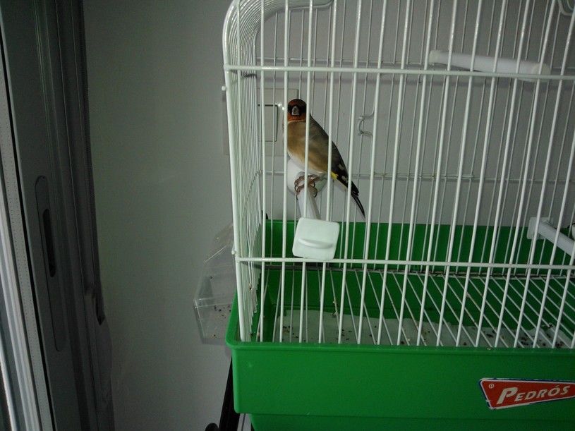WP_000363.jpg
