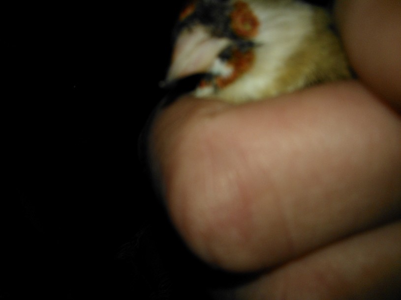 WP_000500.jpg