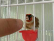 SAM_0129.JPG