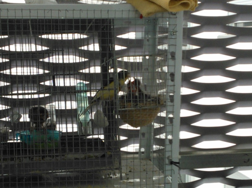 WP_000735.jpg