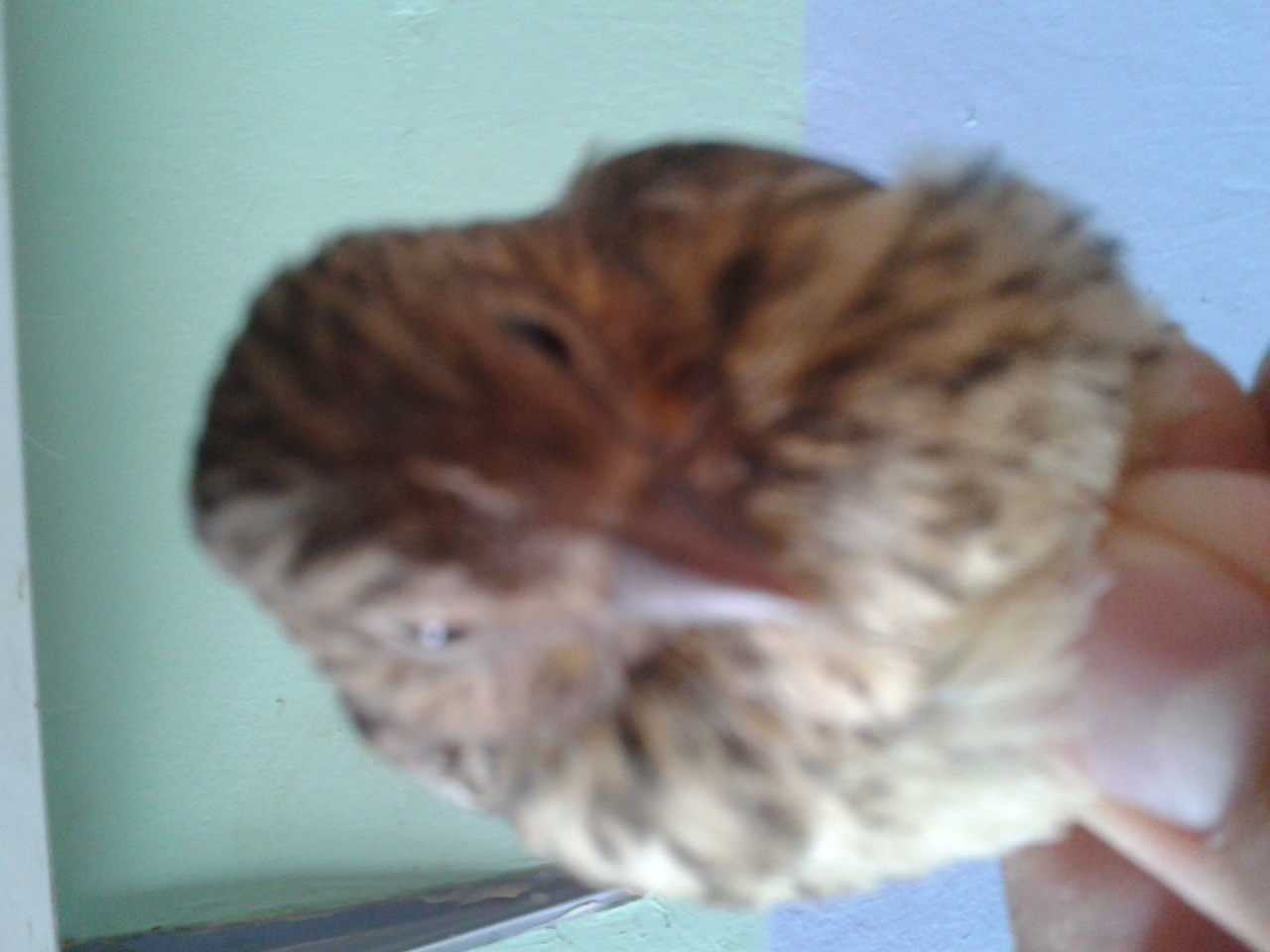 2013-04-19 11.08.13.jpg