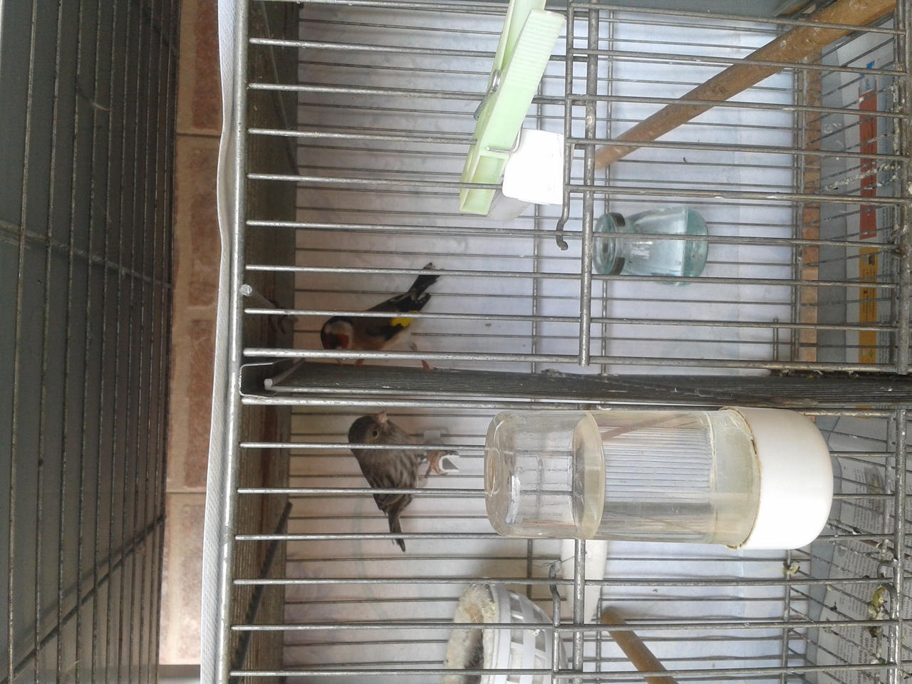 2013-04-19 10.40.00.jpg