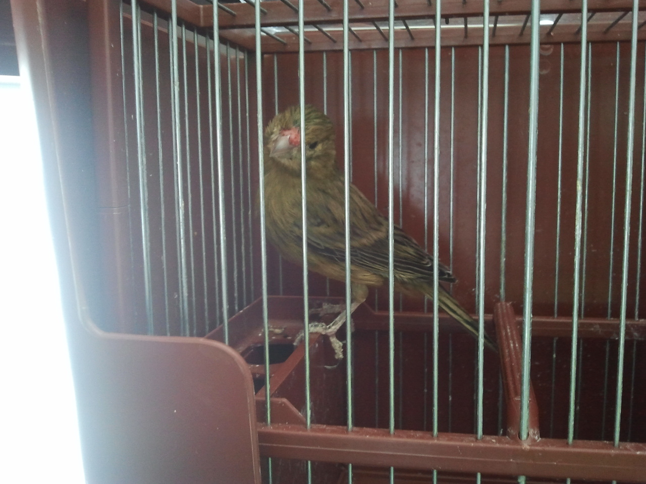 2013-04-19 15.57.16.jpg