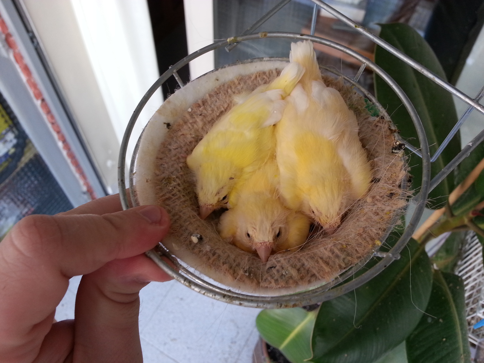 20130414_122840.jpg