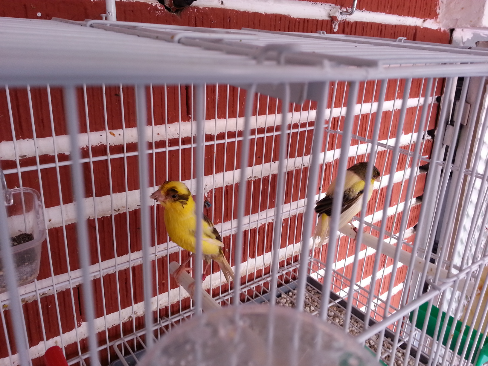 20130414_122858.jpg
