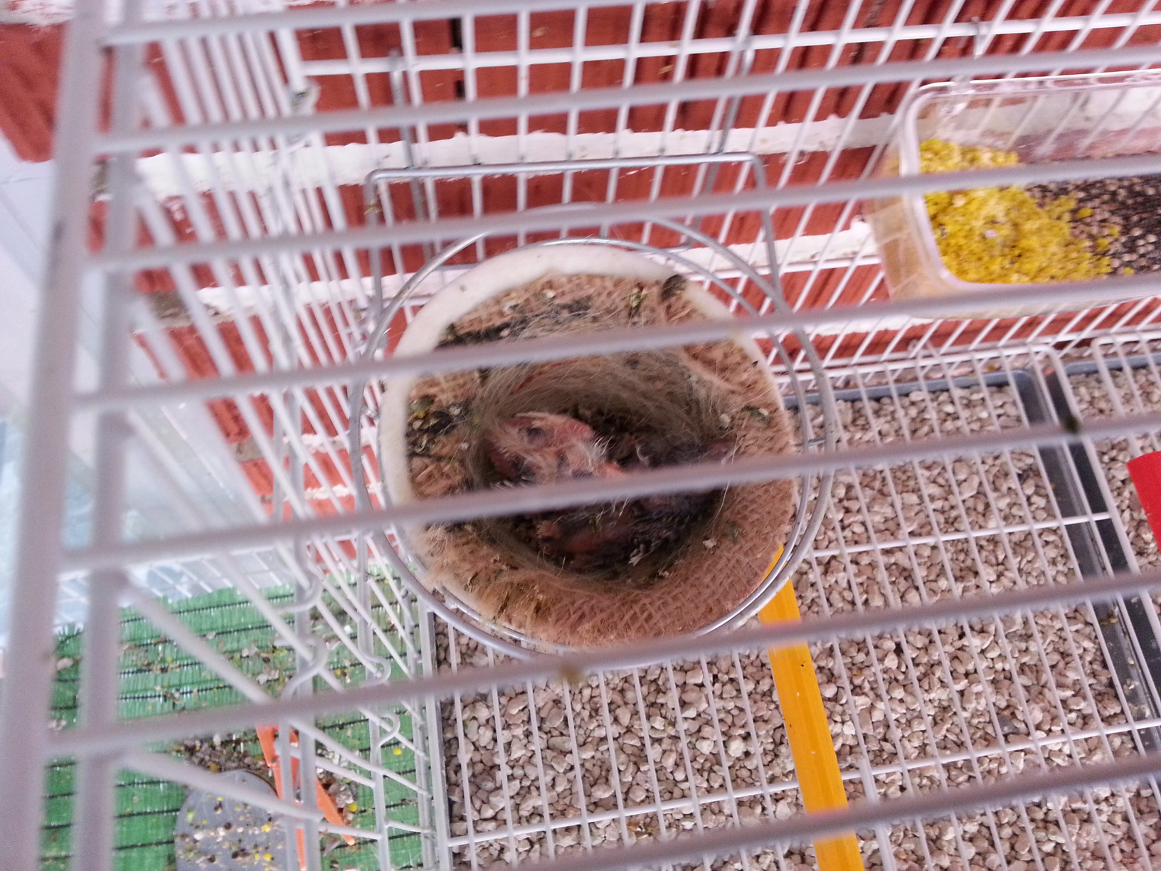20130414_122902.jpg