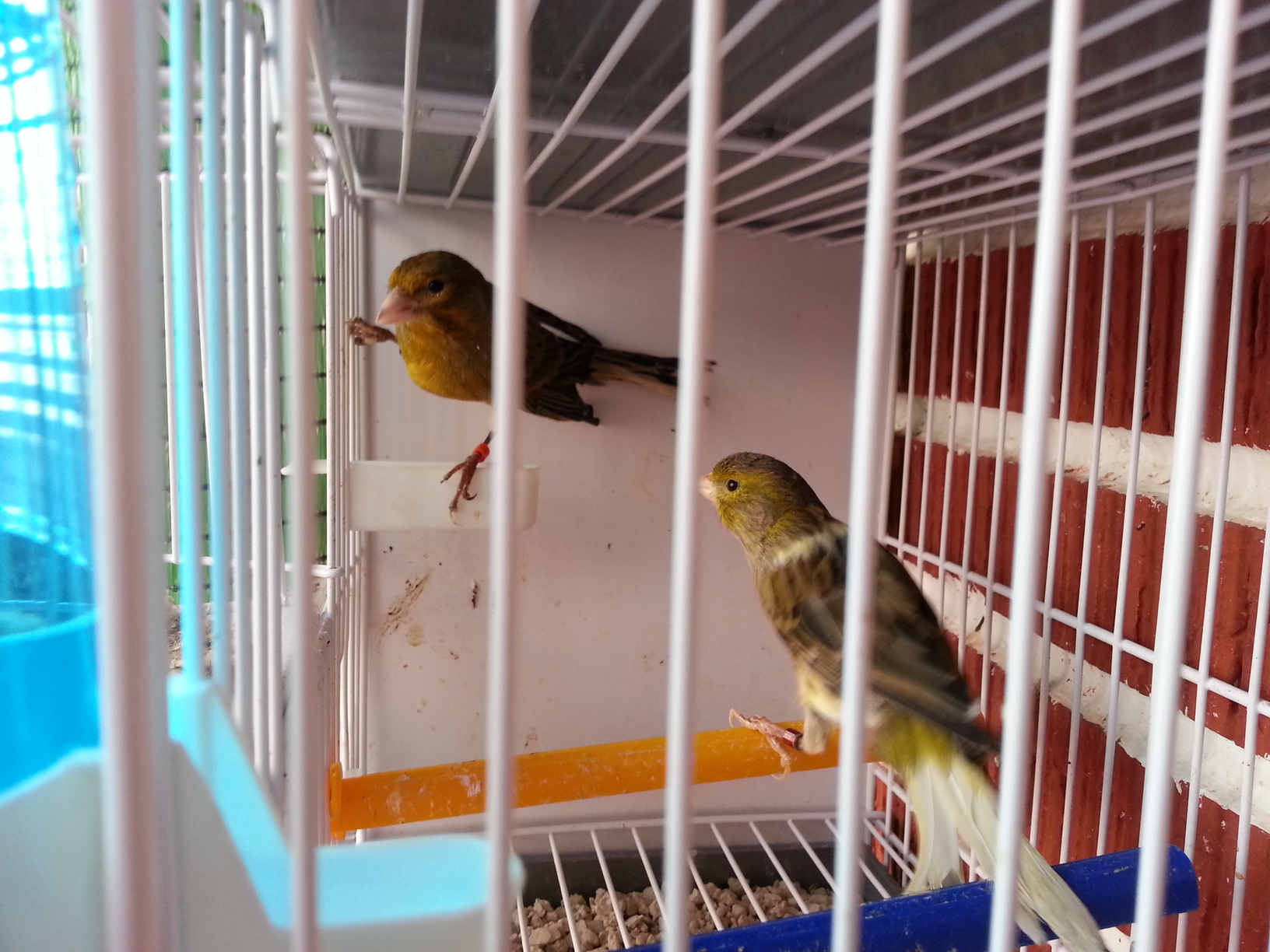 20130414_122926.jpg