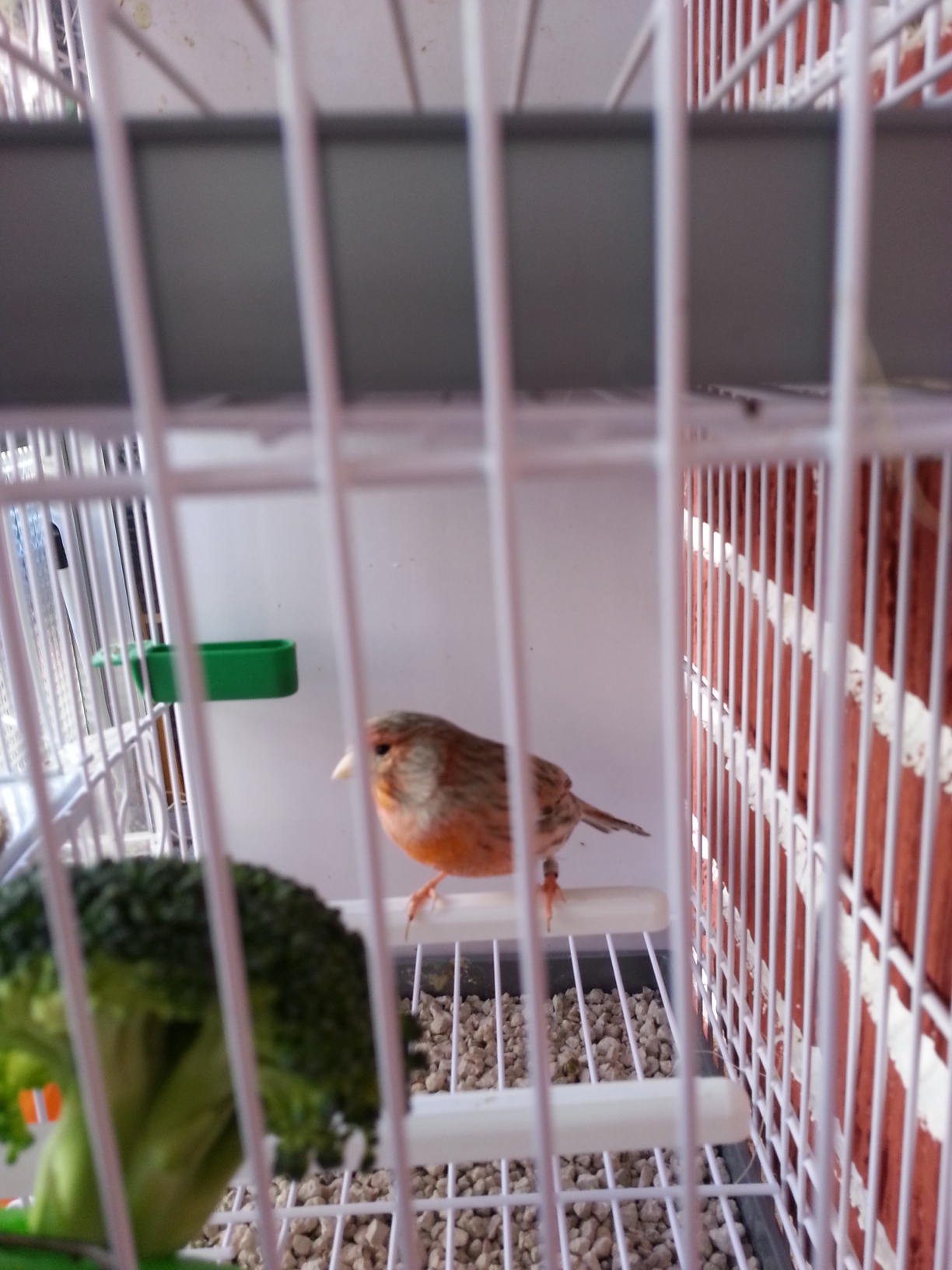 20130414_122937.jpg